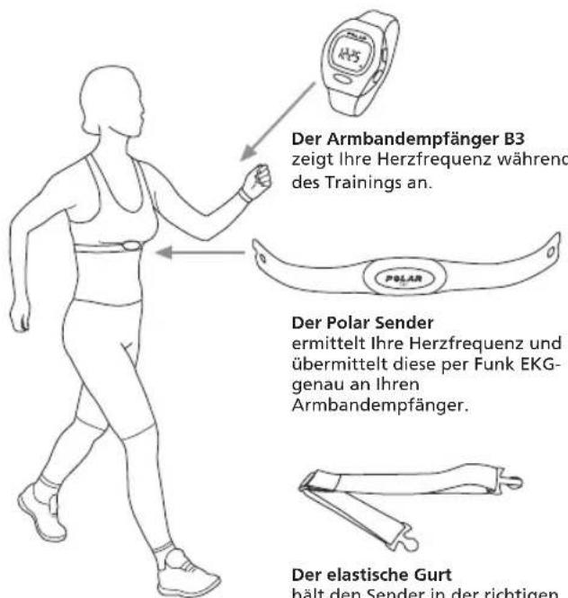 POLAR B3 - Bestandteile des Polar Herzfrequenz-Messgerätes - 1
