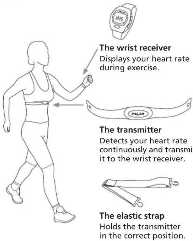 POLAR B3 - How to Put Your Heart Rate Monitor On - 1