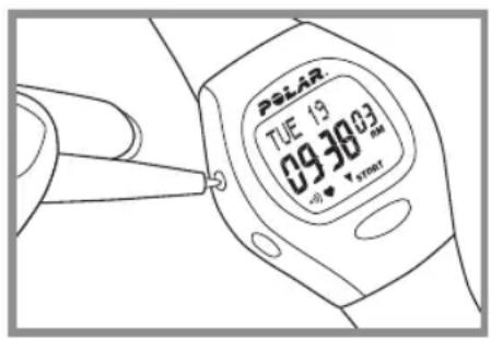 POLAR B3 - Reset - 1