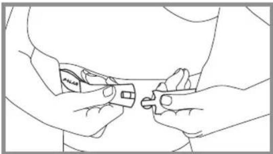 POLAR B3 - How to Put Your Heart Rate Monitor On - 4