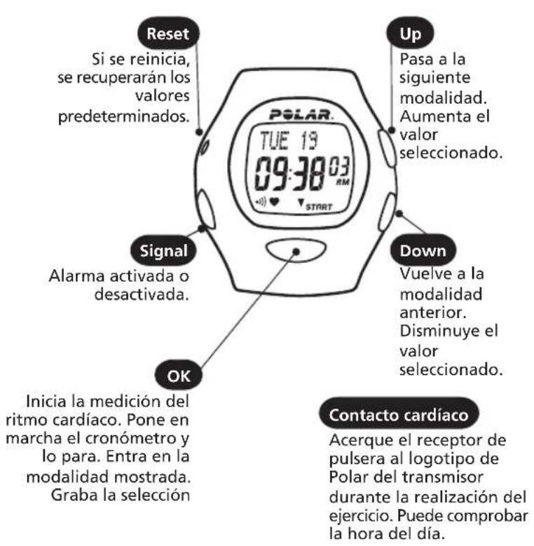 POLAR B3 - Funciones - 1