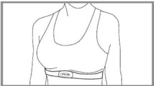 POLAR B3 - Comment porter votre cardiofréquencemètre - 5