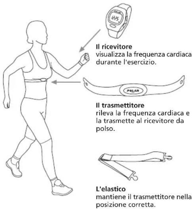 POLAR B3 - Come indossare il cardiofrequenzimetro - 1