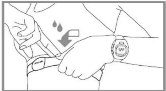 POLAR B3 - Comment porter votre cardiofréquencemètre - 3