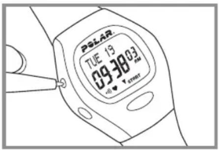 POLAR B3 - Reset - 1