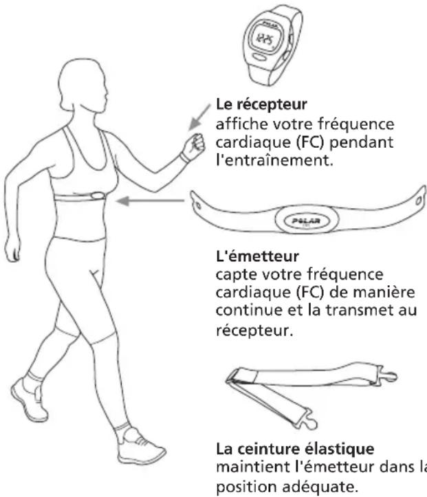 POLAR B3 - Comment porter votre cardiofréquencemètre - 1