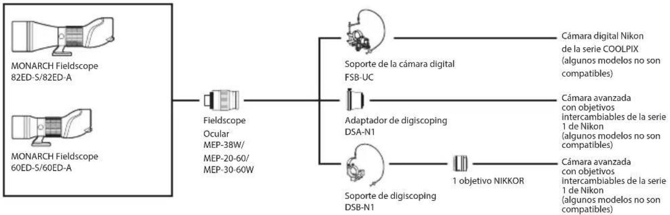 NIKON Monarch ED - Gráfico del sistema - 1