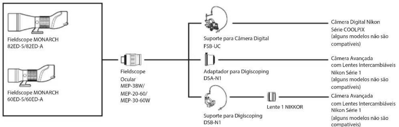 NIKON Monarch ED - Quadro doSYSTEMA - 1