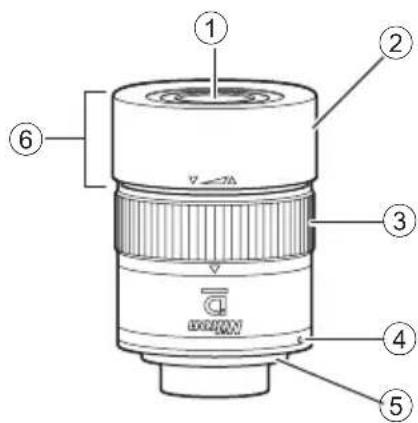 NIKON Monarch ED - Nomenclature (Oculaire) - 3