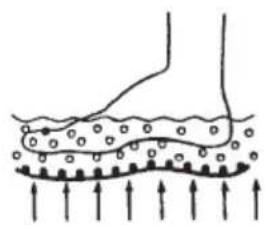 LANAFORM LA110412 - Fig 3 Fig 4 Fig 5 - 1