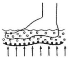 LANAFORM LA110412 - SI1SI2 - 2