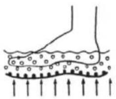 LANAFORM LA110412 - :《BUBBLE FOOTCARE》 - 1