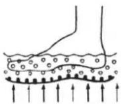 LANAFORM LA110412 - BUBBLE FOOTCARE 3 - 1