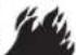 HOTPOINT HTW240ASKWS - ADVERTENCIA - 1