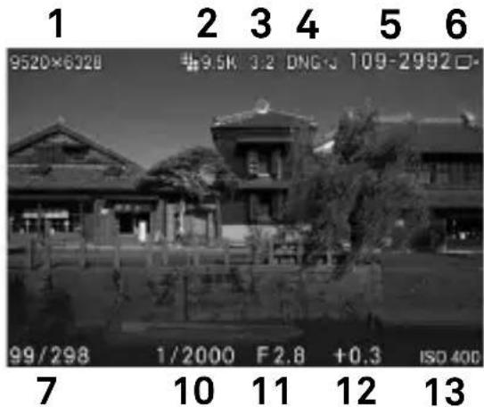 SIGMA FP L - 一次查看一张图像 - 2