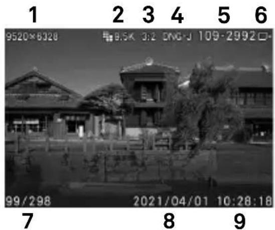 SIGMA FP L - 一次查看一张图像 - 1