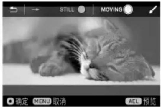 SIGMA FP L - 5 - 1