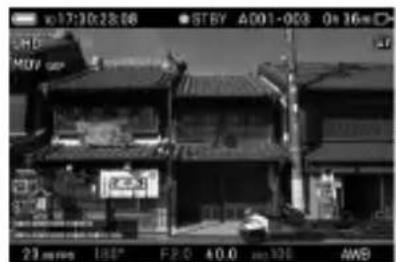 SIGMA FP L - 更改显示模式 - 8
