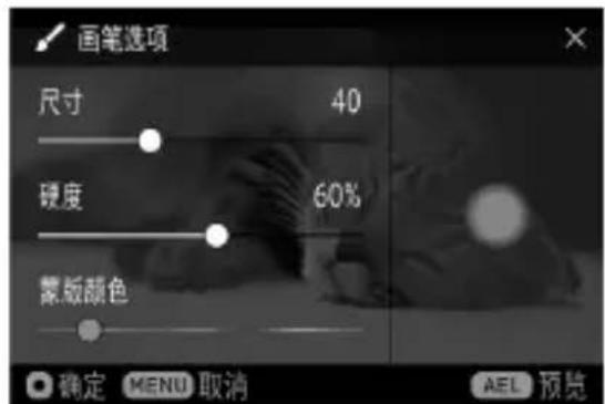 SIGMA FP L - 画笔操作 - 1