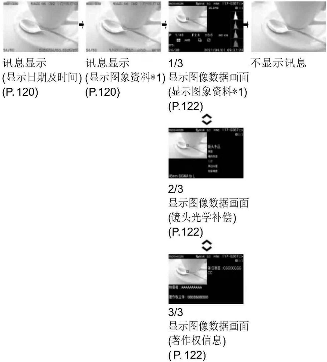SIGMA FP L - 更改显示模式 - 16