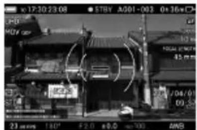 SIGMA FP L - 更改显示模式 - 10