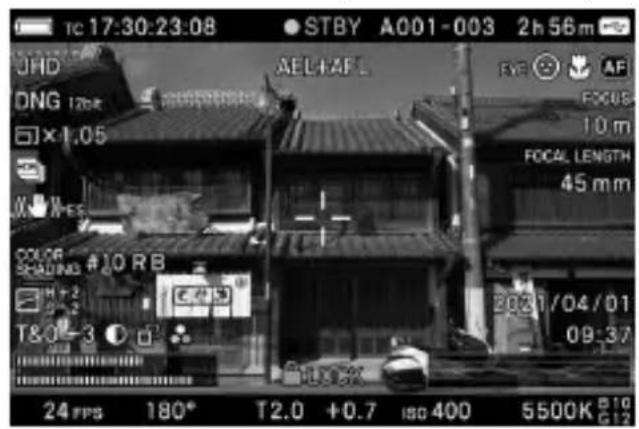 SIGMA FP L - 拍摄期间的显示屏显示 - 3