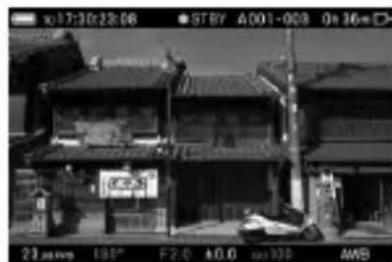 SIGMA FP L - 更改显示模式 - 6