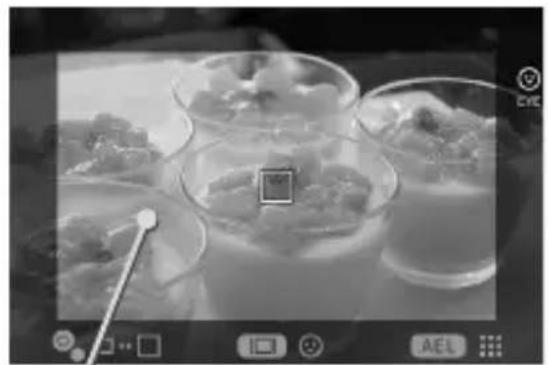 SIGMA FP L - 多点自动对焦 - 4