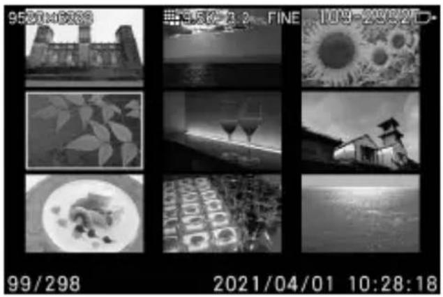 SIGMA FP L - 同时查看 9 张图像 (联页视图) - 1