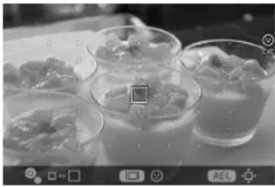 SIGMA FP L - 多点自动对焦 - 3