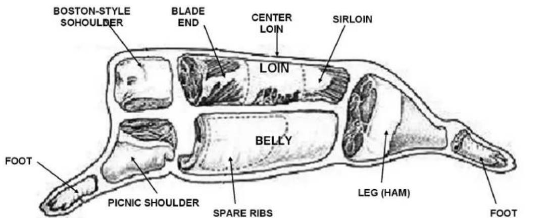 BOSTON-STYLE SOHOULDER BLADE END CENTER LOIN SIRLOIN LOIN BELLY FOOT PICNIC SHOULDER SPARE RIBS LEG (HAM) FOOT