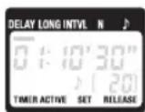 NIKON WPAA1 - The "TIMERACTIVE," "SET," and "RELEASE" Indicators - 1
