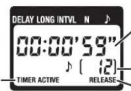 NIKON WPAA1 - Aufnahmen mit Timer (6/7) - 1