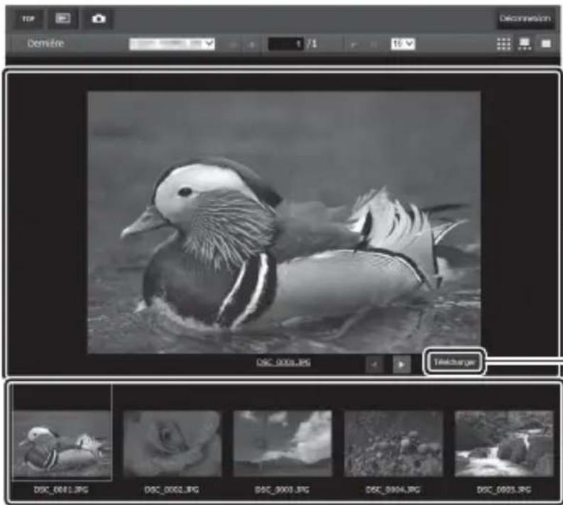 NIKON WT7 - ■Affichage film fixe - 1