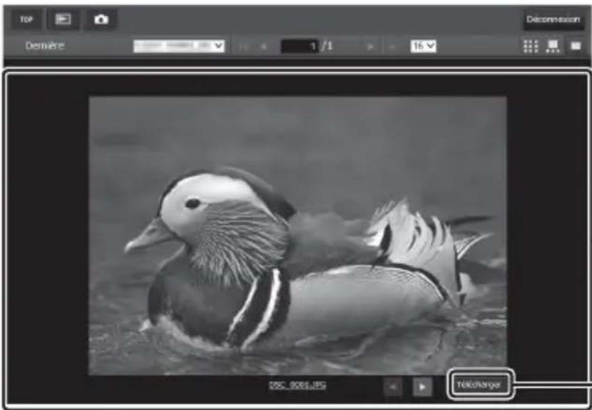 NIKON WT7 - ■Affichage plein écran - 1