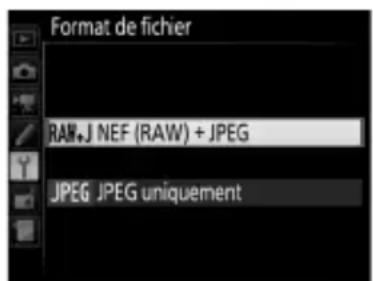 NIKON WT7 - Format de fichier - 1