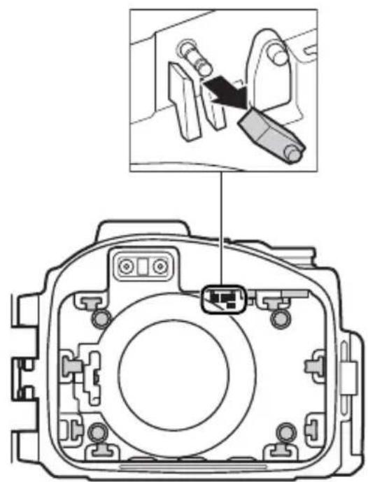NIKON WPN2 - Importante! - 1