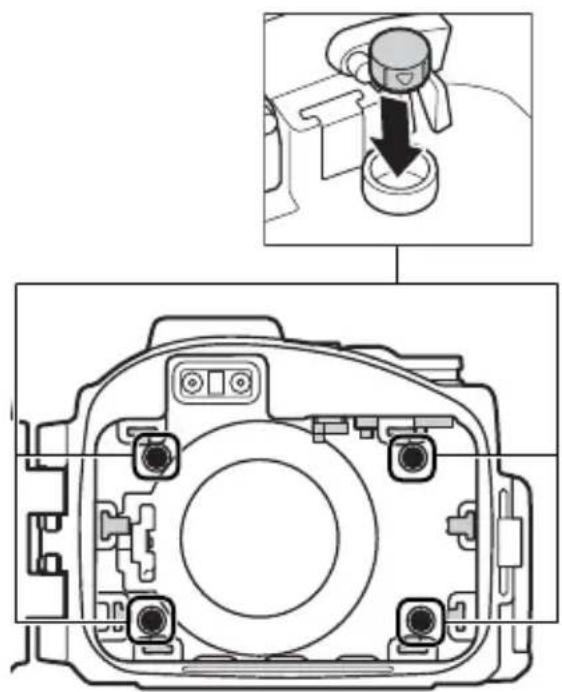 NIKON WPN2 - D 前墊 - 3