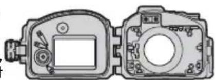 NIKON WPN2 - 鎖定防水罩並將其浸入水中。 - 3