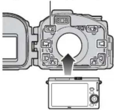 NIKON WPN2 - Insérez l'appareil photo. - 1