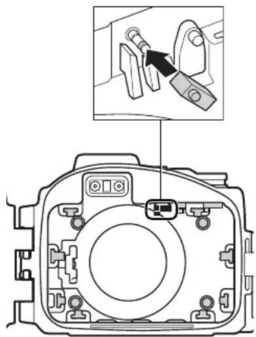 NIKON WPN2 - Importante! - 3