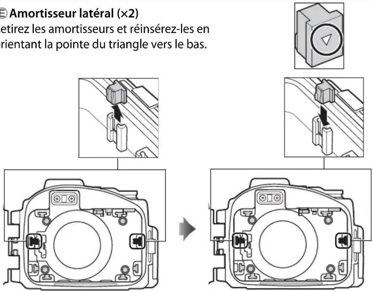 NIKON WPN2 - © Amortisseur latéral (×2) - 1