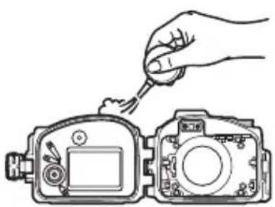 NIKON WPN2 - Inspeccione la guía de la junta tórica. - 1