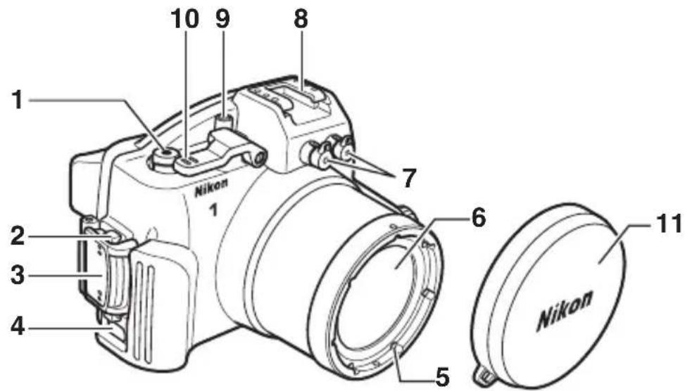 NIKON WPN2 - SEA&amp;SEA YS-D1 Underwater Flash Units - 2
