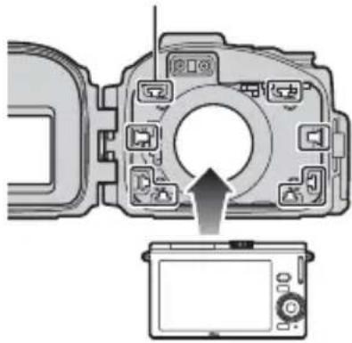 NIKON WPN2 - Insert the camera. - 1