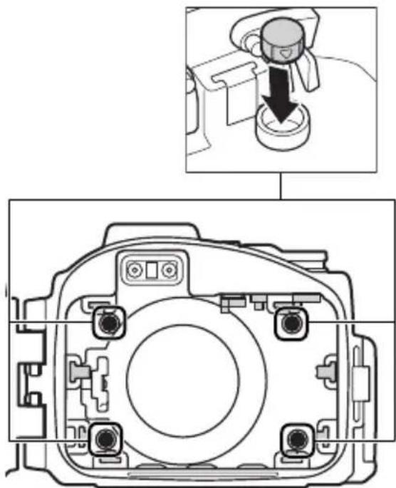 NIKON WPN2 - © Cuscinetto anteriore (×4) - 3