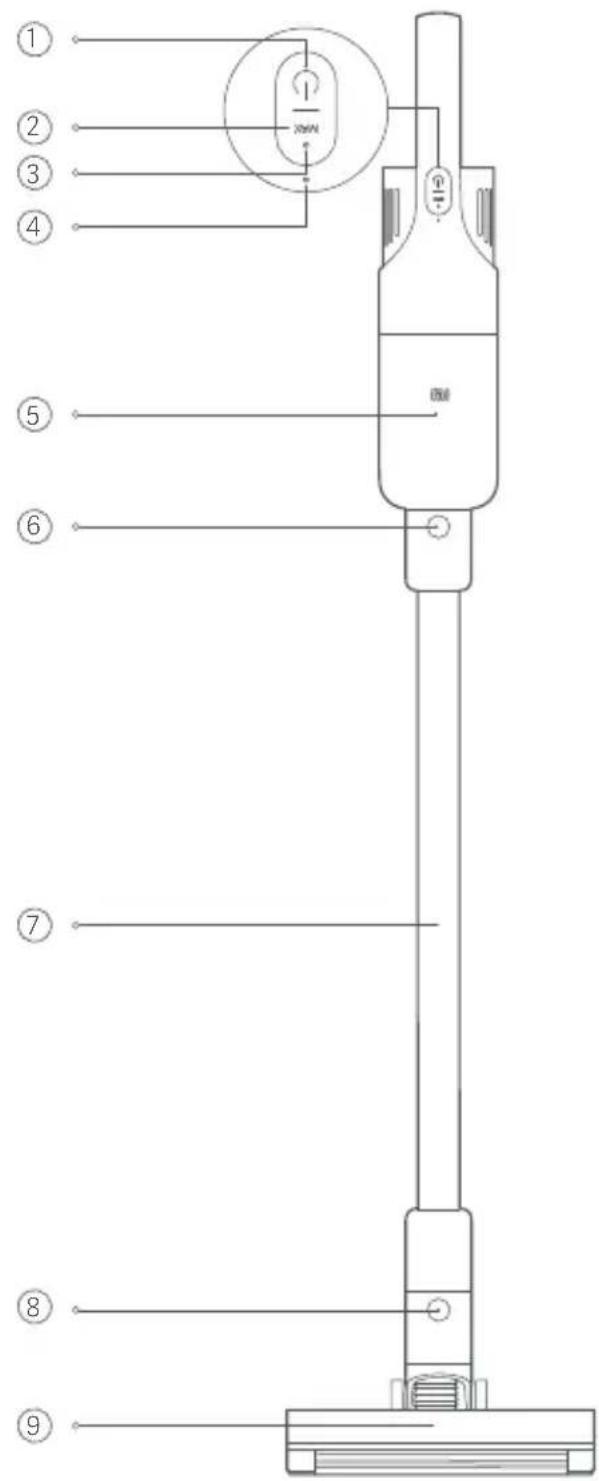 Xiaomi Mi Vacuum Cleaner Light - CE - 1