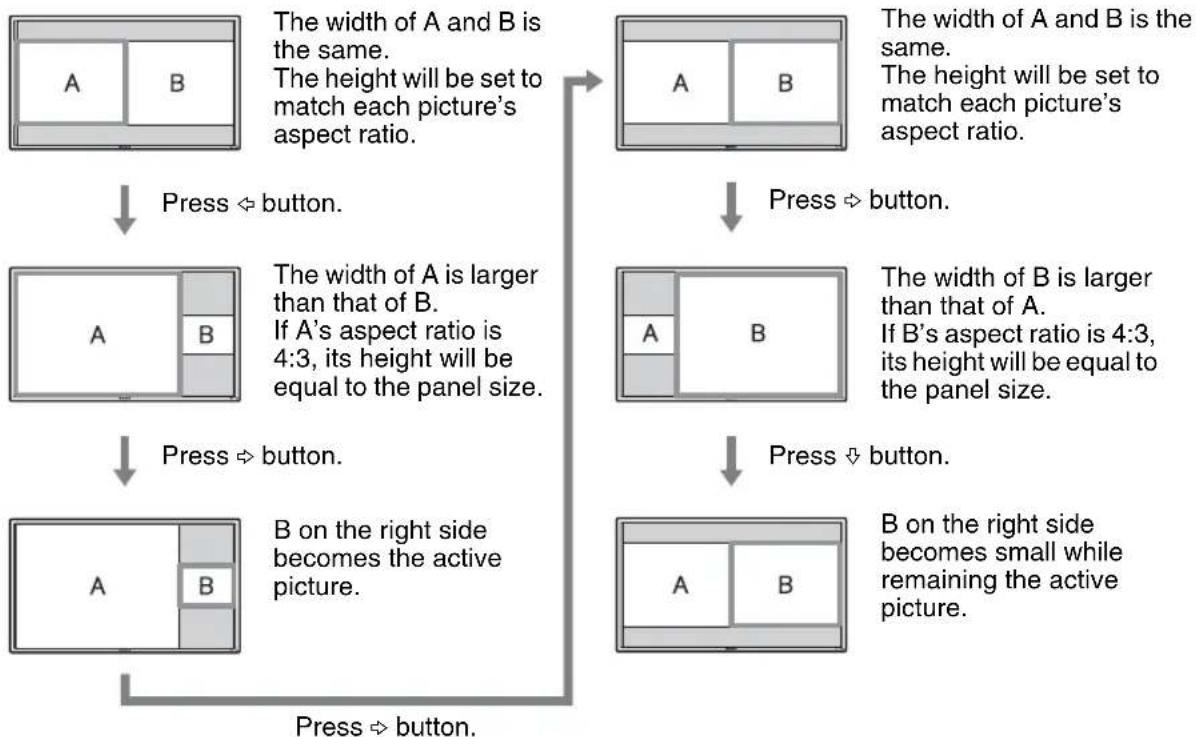 SONY FWDS47H1 - Using the PAP Setting - 4