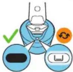 PHILIPS Series 5000 S5586 - Remplacement de la cartouche du Quick Clean Pod (certains modèles uniquement) - 1