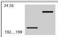 Stairville DJ Lase 150R MKIII - Liste de patterns - 10